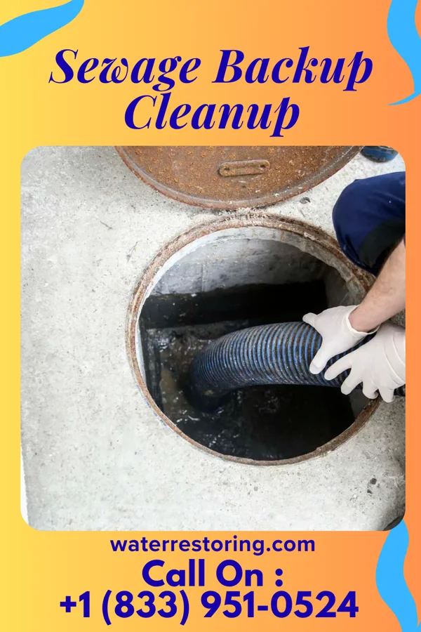 Sewage Backup Cleanup in Heartwell, NE