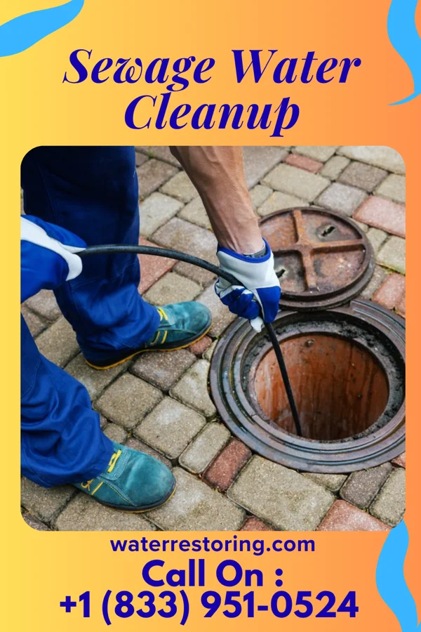 Sewage Water Cleanup in Heartwell, NE